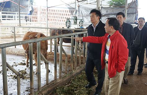 广东召开全省畜牧兽医暨草食畜牧业工作现场会 广东省农业农村厅网站