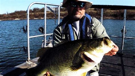 Why Largemouth Bass Grow Bigger In The South The Ultimate Bass