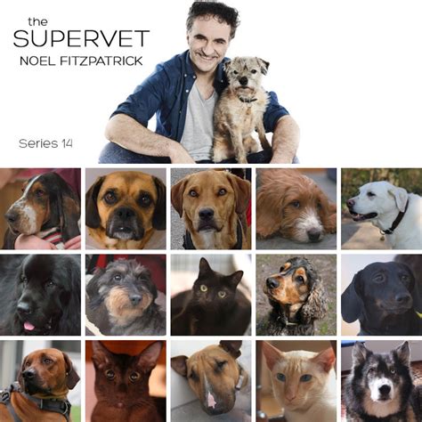 The Supervet The Supervet Noel Fitzpatrick Returns For A New Series