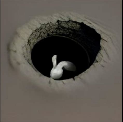 The Rabbit Hole Digital Art by Generational Images - Fine Art America