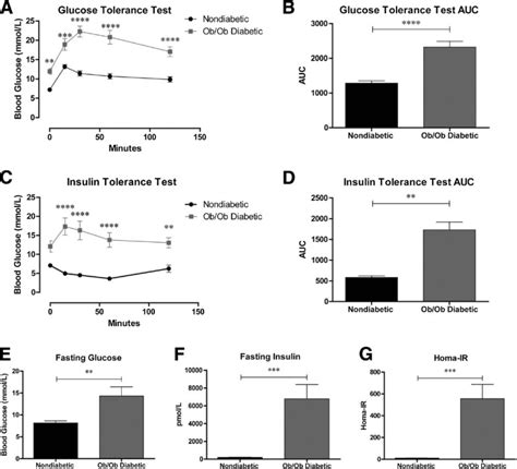 Peripheral Nervous System Insulin Resistance In Obob Mice Acta