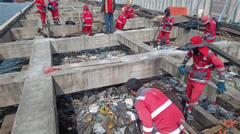 Del Muelle De Madera En La Bodeguita Cartagena Sacaron