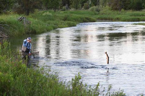 Brian Okeefe Fly Fishing Photography