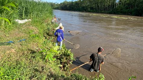 Live Pladu Hari Ini Sungai Brantas Blitar Jatim Kondisi