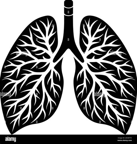 Human Lungs Silhouette Vector Design Stock Vector Image And Art Alamy