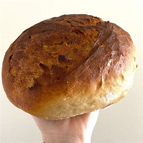 Vegan Bay Baker Sourdough Bread Reviews Abillion