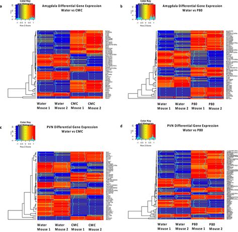 Heatmaps Show Z Score Normalized Relative Expression Of Differentially Download Scientific