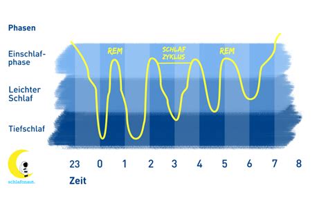 Schlafphasen Alles Zu Rem Schlaf Und Tiefschlaf Schlafonaut