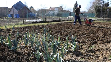 Jardins Familiaux Il Reste Des Parcelles