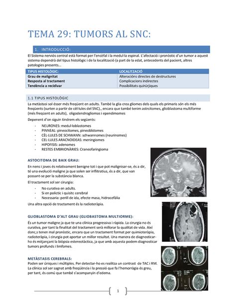 Tema Transtorns Del Sistema Nervi S Tema Tumors Al Snc