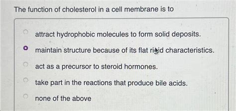 Solved The function of cholesterol in a cell membrane is | Chegg.com