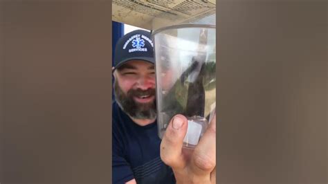 Man Rescues Bird Stuck Inside Exhaust Pipe Of His Truck 1194810 1