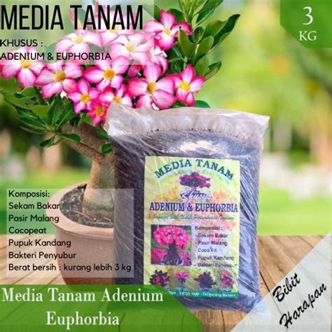 Jual NEW Media Tanam Adenium Euphorbia Sekam Bakar Cocopeat Pasir