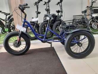 Купить Трехколесный электро фэтбайк (электровелосипед) E-motions ...