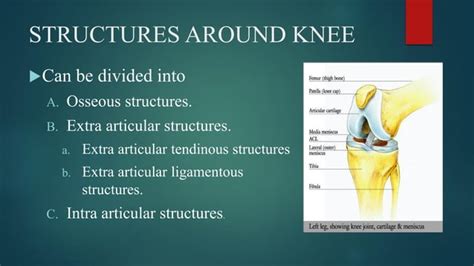 Ps Session Examination Of Knee Joint Ppt