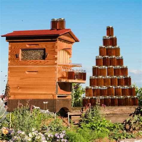 10 Best Backyard Beehive Starter Kits 2023 Guide The Gardening Dad