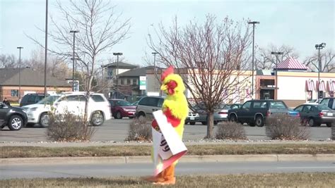 18 Chicken suit guy Stock Video Footage - 4K and HD Video Clips ...