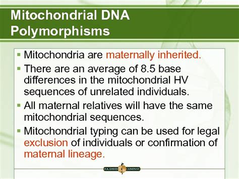 Chapter 11 DNA Polymorphisms And Human Identification