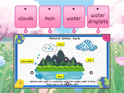 Water cycle - Labelled diagram