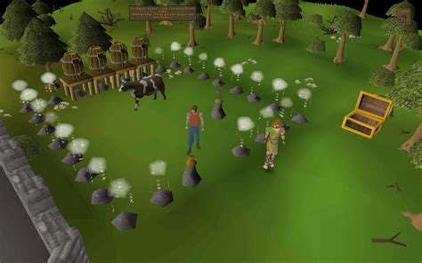 Osrs Nightmare Zone Strategy Guide