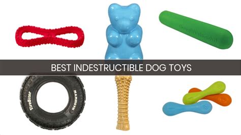 19 Best Indestructible Dog Toys 2020