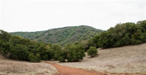 Black Mountain Trail Los Altos Hills Ca Davidlohr Bueso Flickr