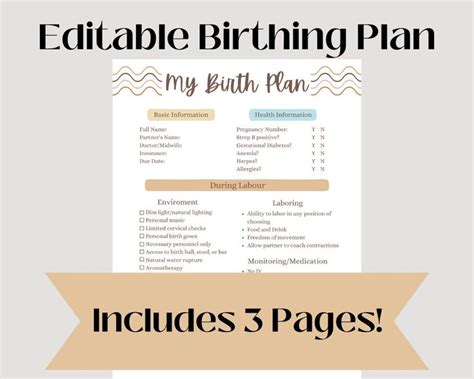 Birth Plan Template, Fully Editable Hospital Birth Plan, Pregnancy ...