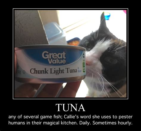 Zoe Meme 88 Tuna Walking Through This Together