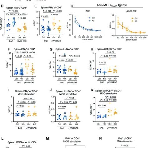 ABCs are expanded in a sex biased manner during γHV68 infection and