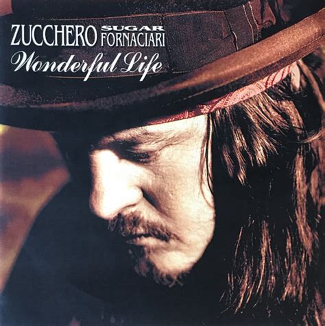 Zucchero Sugar Fornaciari* - Wonderful Life (2007, CDr) | Discogs