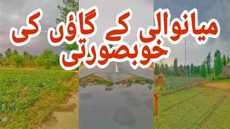 Beauty Of Village Rainy Day Beauty Of Punjab Mianwali Ameer