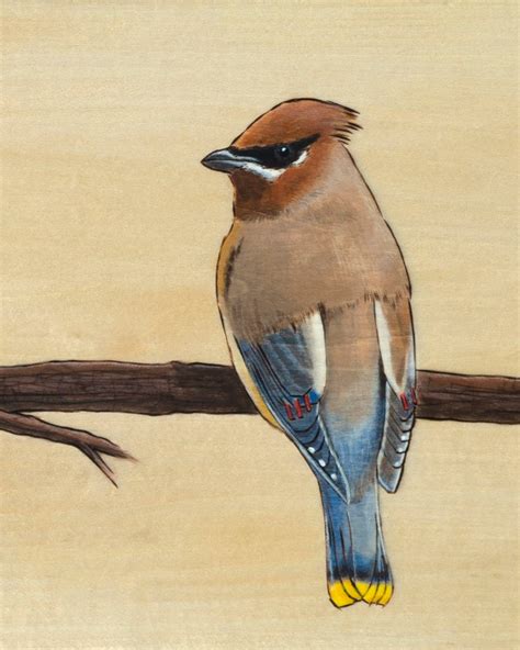 Birds on a Branch Painted Pyrography, Natural Live Edge Wood, Wood Burning, Bird Art, Blue Bird ...