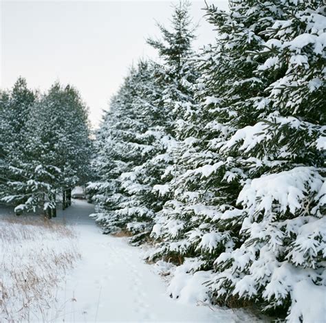 A Door County Wisconsin Winter Day — The Mccartneys Photography