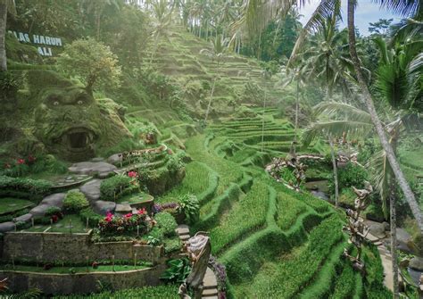 stop destination  ubud alas harum bali