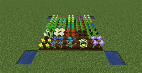 Minecraft Flowers Types Infoupdate Org