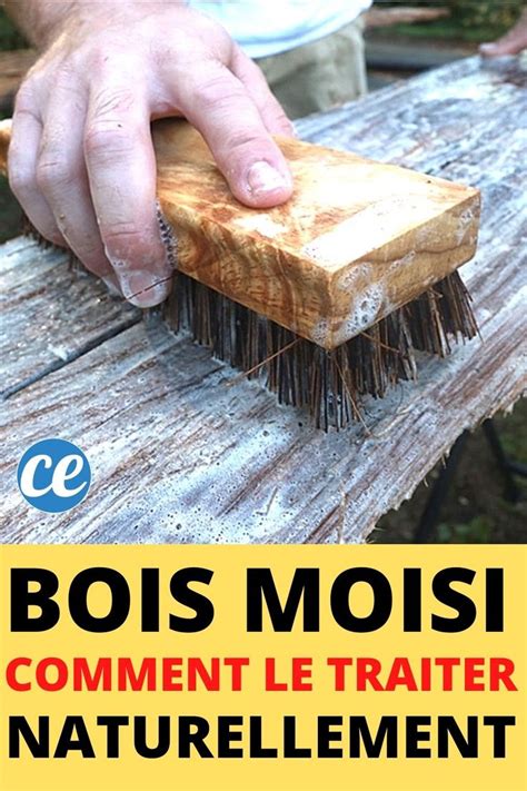 Comment Enlever De La Moisissure Sur Un Meuble En Bois Facile Rapide