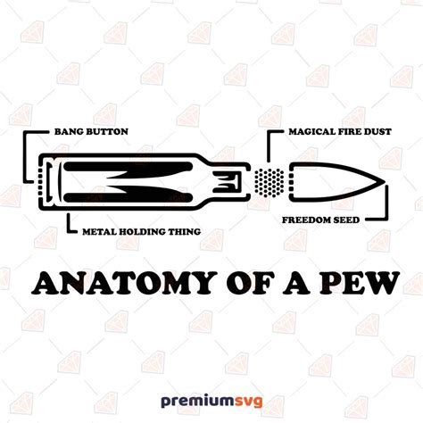 Anatomy Of A Pew Svg