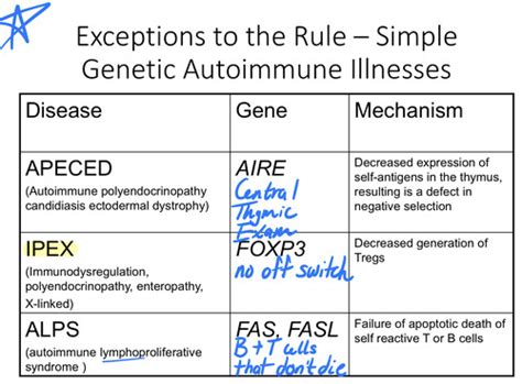 Autoimmunity Flashcards Quizlet