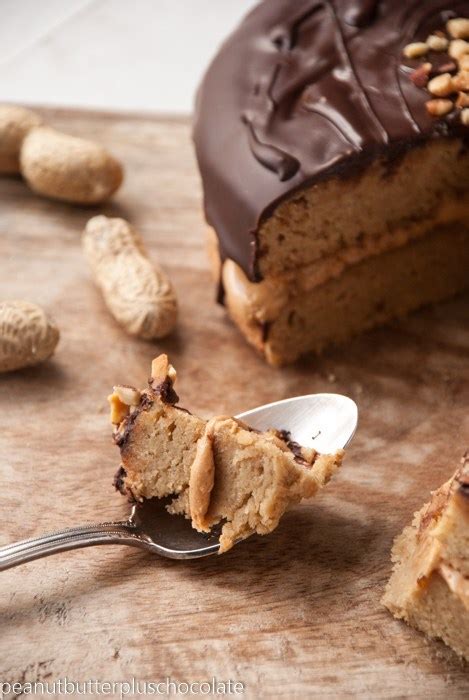 Fullcravings Healthy Peanut Butter Banana Cake With Chocolate