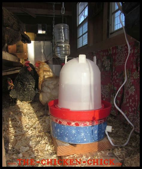 Cookie Tin Water Heater You Can Make Your Own Waterer Heater For