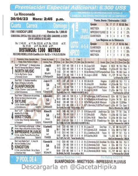 EL APRENDIZ DEL HIPISMO on Twitter Hipismo Cuál es tu favorito para