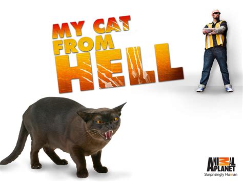 My Cat From Hell Full Episodes Free Online Off