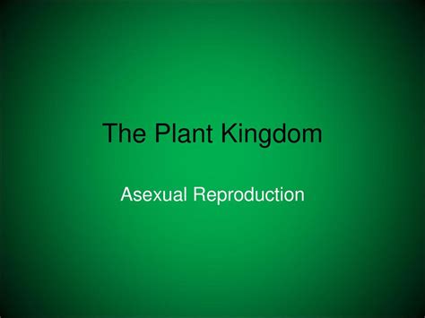 The Plant Kingdom Asexual Reproduction Ppt Download