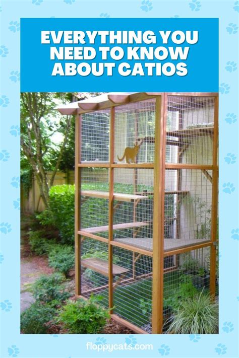 Diy Catio Plans Catio Design Ideas Artofit