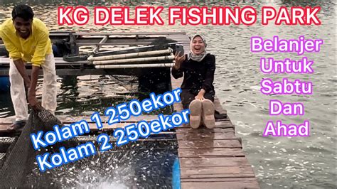 Infomasipelepasan Ikan Untuk Kolam Dan Kg Delek Fishing Parksabtu