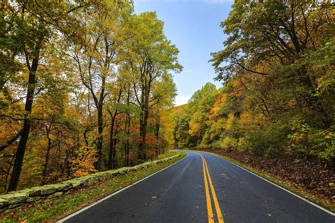 Fotos Gratis Paisaje Rbol Bosque La Carretera Campo Hoja