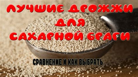 Как выбрать дрожжи для самогона: виды и рекомендации по выбору для ...