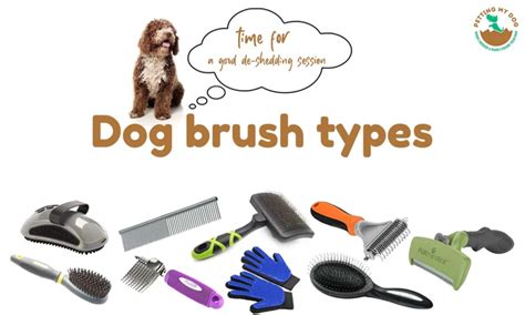 Best Shih Tzu Brushes for Grooming Your Beloved Pet - Dog Care Hacks