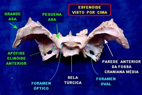 Esfen Ide Visto De Cima