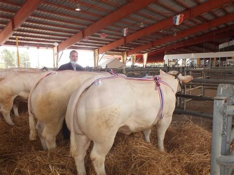 Une Quinzaine D Levages Taient En Comp Tition Au Concours National De